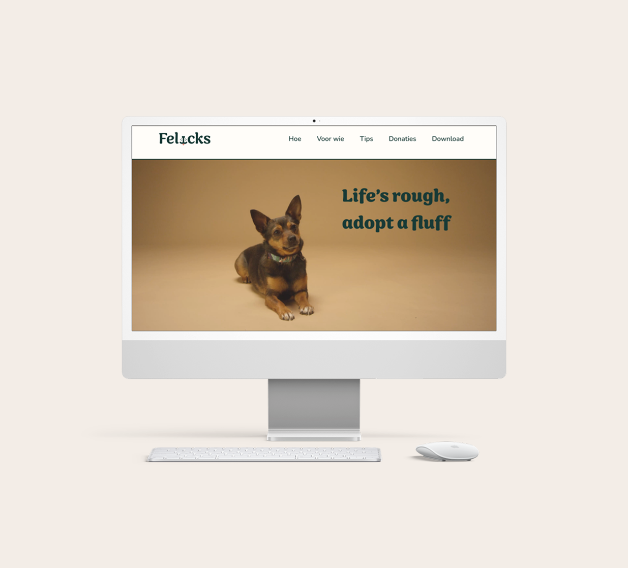 Felicks mockups